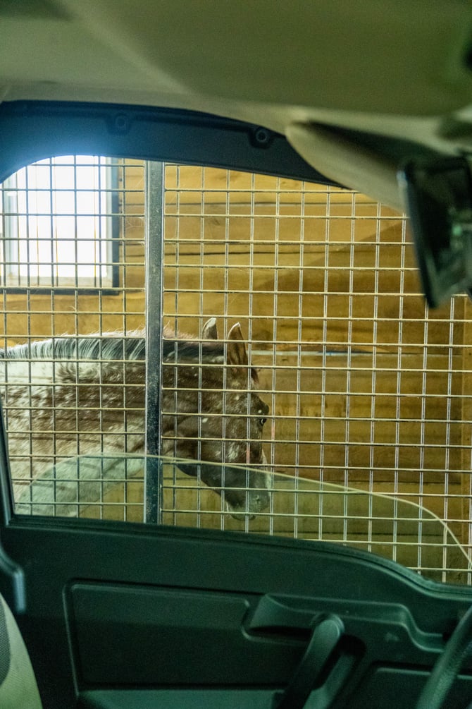 John Deere Equine Discount Program and Associations Koenig